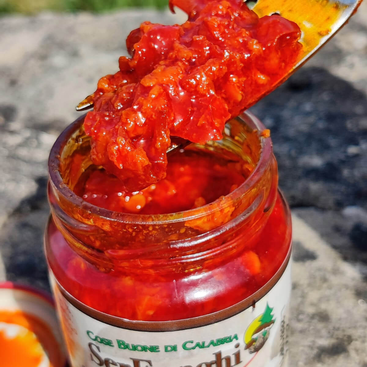 Würzige Kalabrese-Pastete – Würzige Tapenade – Serfunghi – Bild 2