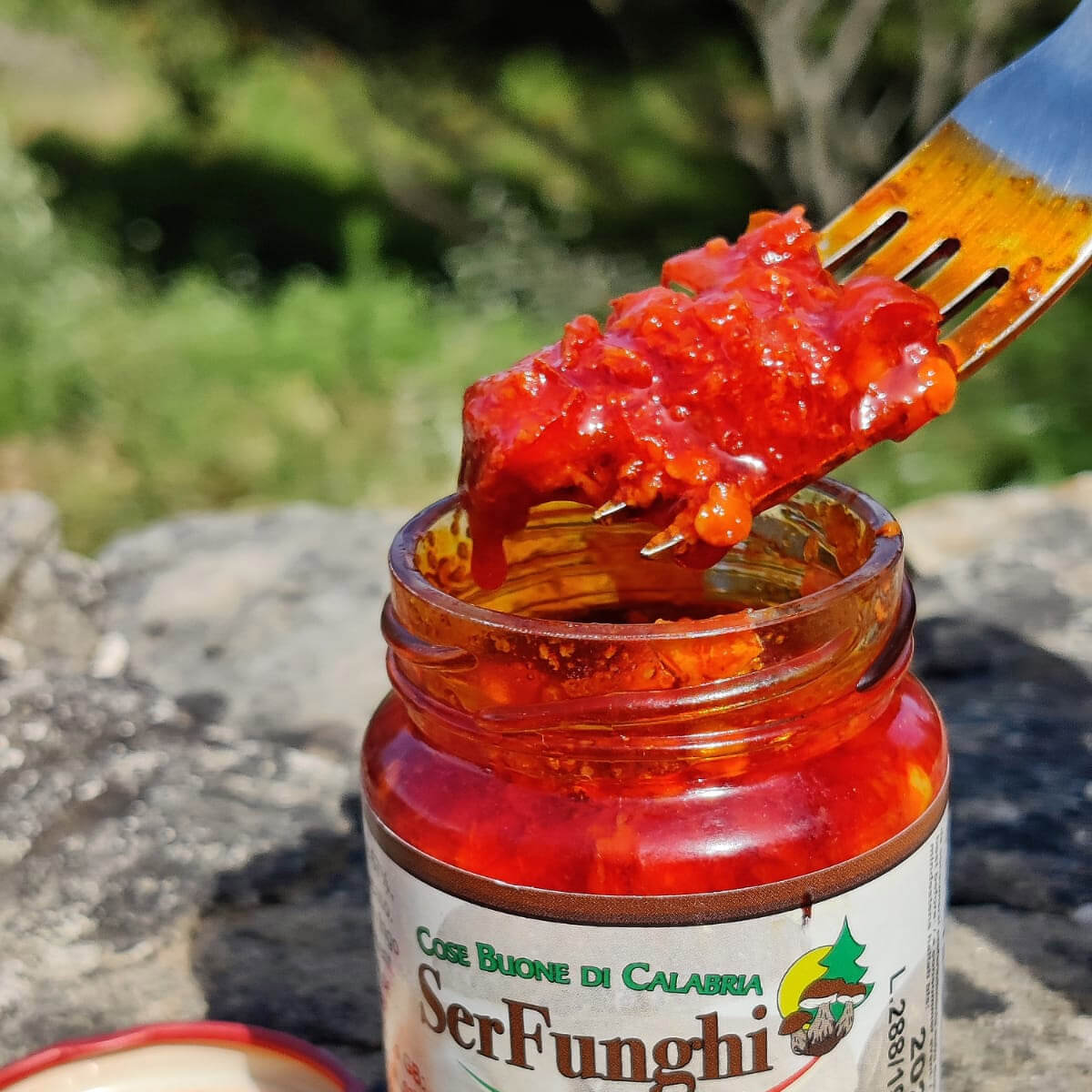 Würzige Kalabrese-Pastete – Würzige Tapenade – Serfunghi – Bild 3