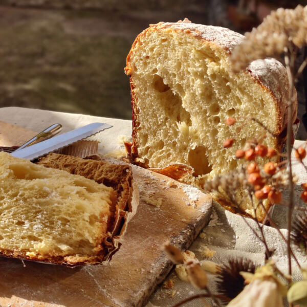 Pandoro – Infermentum – Vorbestellung – Bild 2