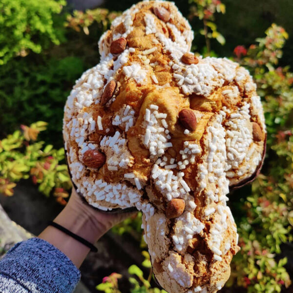 Colomba Tradizionale – Italienisches Osterbrot – Infermentum – Bild 2