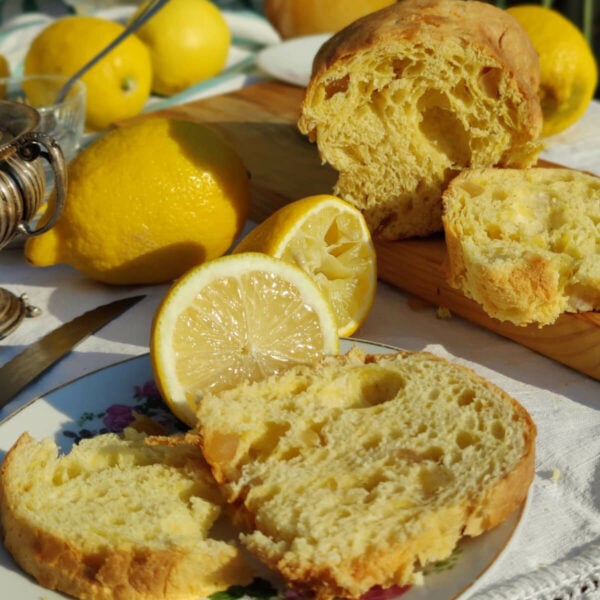 Panettone-Kuchen Bauletto Ingwer und Zitrone – Infermentum – Bild 3
